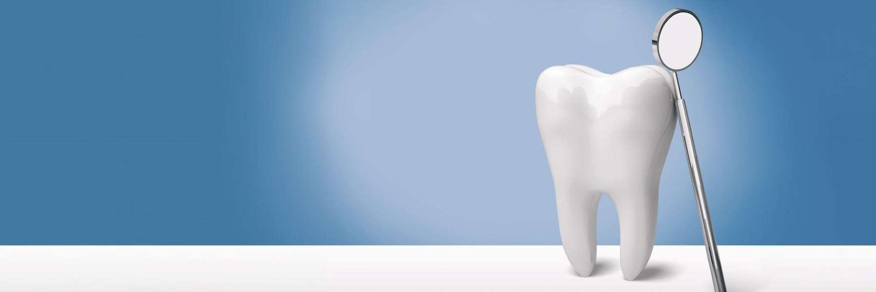 a model of a tooth and dental mouth mirror in Avondale